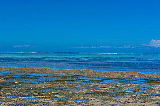 海滩,西部,海岸,新喀里多尼亚,南太平洋