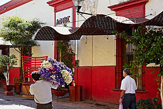 瓜达拉哈拉,墨西哥,男人,清新,花,餐馆