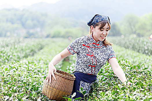 亚洲人,漂亮,女孩,种植园