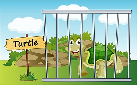 龟,笼子