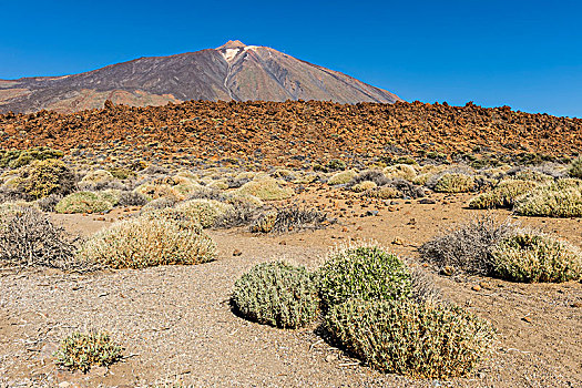 泰德山,火山,风景,泰德国家公园,特内里费岛,加纳利群岛,西班牙,欧洲