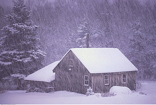 积雪,小屋,落下,雪,悬崖,新布兰斯维克,加拿大