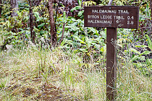 路标,指示,远处,小路,夏威夷火山国家公园,夏威夷,美国