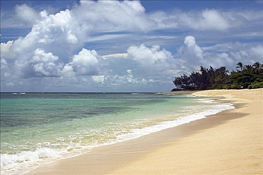 夏威夷,瓦胡岛,北岸,日落海滩,金色,沙子,海岸线,海洋