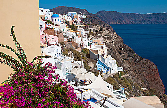 漂亮,希腊,岛屿,锡拉岛,白色,建筑,花,俯视,悬崖,度假