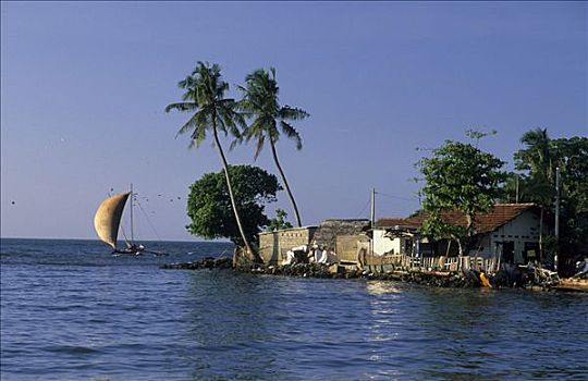 船,航行,海岸,斯里兰卡
