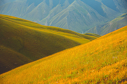 新疆昌吉将布拉提大草原