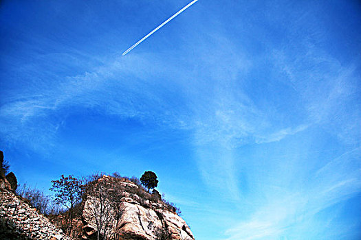 飞机飞过的痕迹划过悬崖上的松树上空