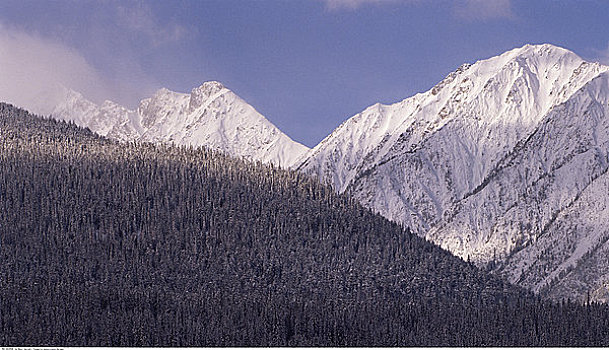 落基山脉,幽鹤国家公园,艾伯塔省,加拿大