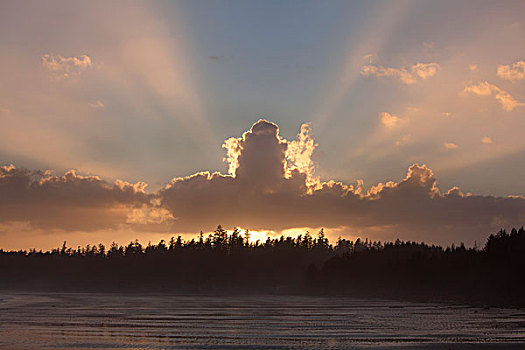 云,逆光,太阳,日落,石头,区域,长滩,环太平洋国家公园,靠近,不列颠哥伦比亚省,加拿大