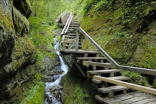 木质,楼梯,溪谷,半岛,康斯坦茨,巴登符腾堡,德国,欧洲