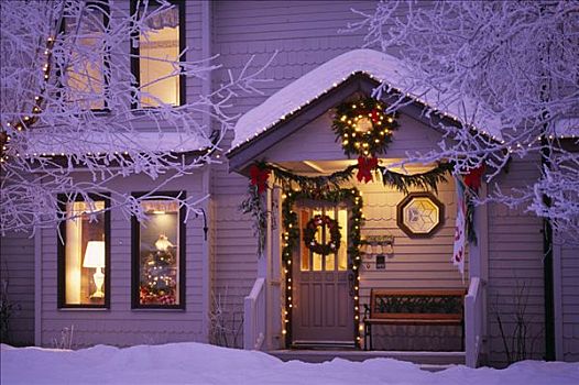 房子,装饰,圣诞节,黎明,冬天