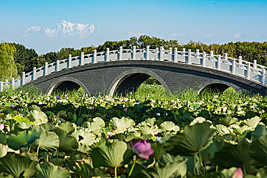 新疆五家渠青湖御园景区