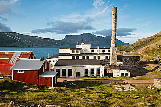 老,青鱼,工厂,冰岛,斯堪的纳维亚,欧洲