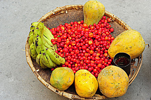 haiti,port,au,prince,colorful,fruits