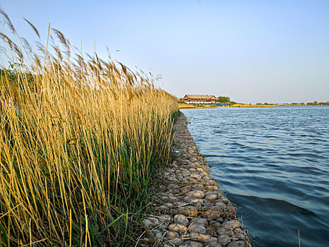 滹沱河湿地公园