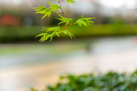 自然风景