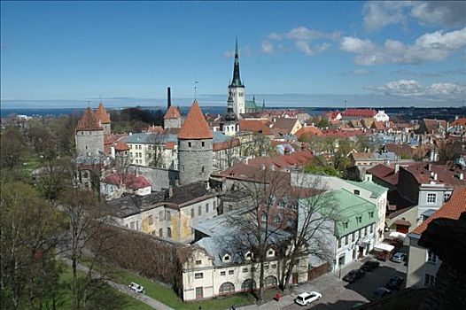 塔林,爱沙尼亚,旧城