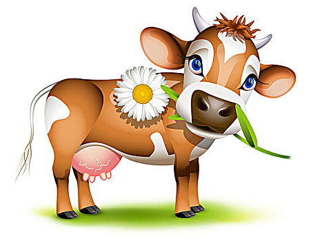 小,泽西种乳牛,母牛,吃,雏菊