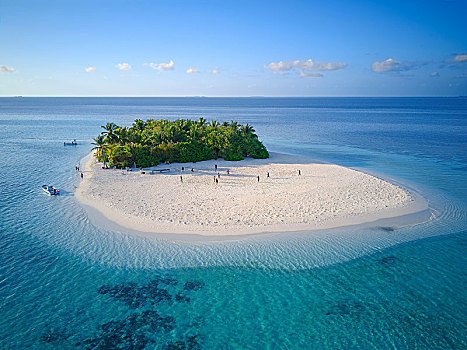 无人,岛屿,白天,旅游,棕榈树,灌木丛,沙滩,外滨,珊瑚礁,阿里环礁,印度洋,马尔代夫,亚洲