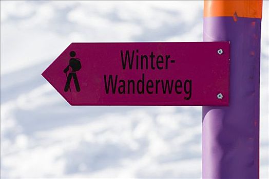 标识,冬天,徒步旅行,格劳宾登州,瑞士,欧洲