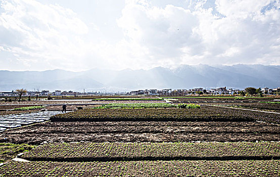 田园风光