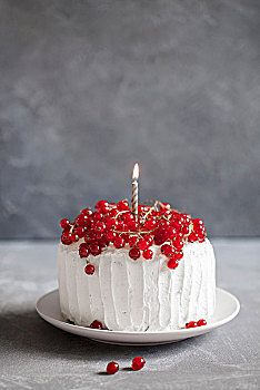 奶油蛋糕,红醋栗,生日派对