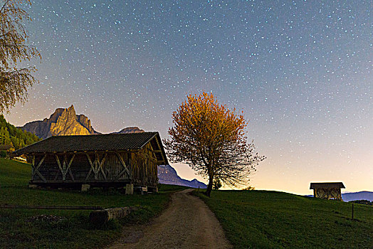 星空,孤木,小屋,博尔查诺,省,南蒂罗尔,意大利