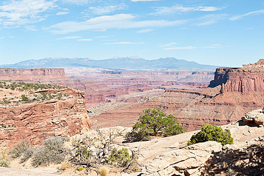 红色,砂岩,植被,风景,山,峡谷,俯瞰,岛屿,空中,峡谷地国家公园,犹他,西部,美国,北美