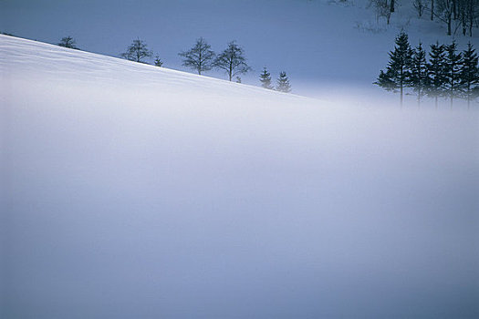 雪原