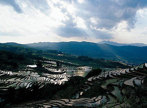 云南省东川县梯田