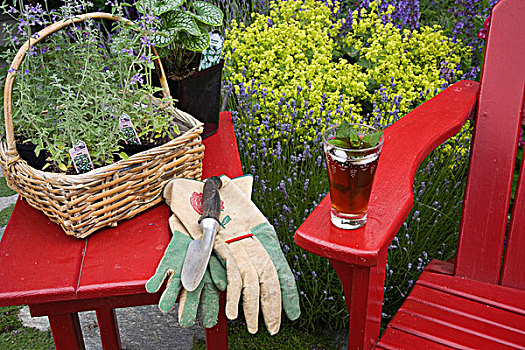 冰茶,休息,红色,椅子,园艺