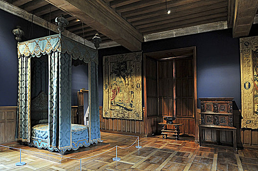 室内,城堡,一个,法国,文艺复兴,清单,世界遗产