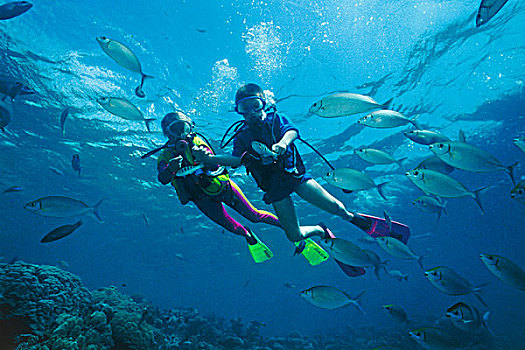 孩子,潜水,拿着,鱼,阿里环礁,马尔代夫,印度洋,亚洲