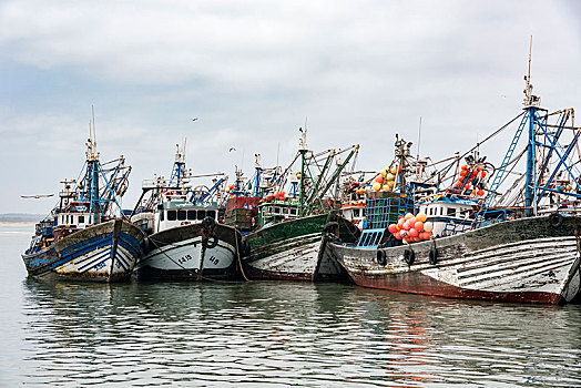 渔船,停泊,向上,港口,摩洛哥