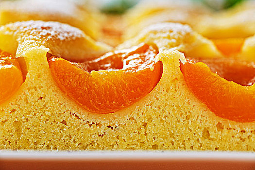 杏,烤盘,蛋糕