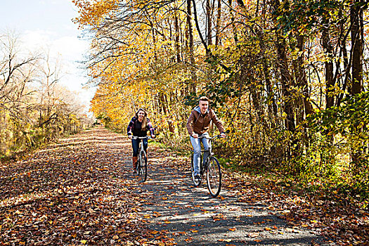 少男,成年,姐妹,骑自行车,秋日树林,道路
