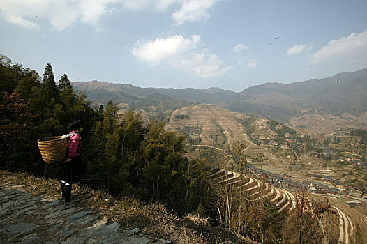 桂林苗寨的龙脊梯田