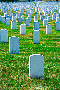 阿灵顿国家公墓,弗吉尼亚,靠近,华盛顿特区,美国
