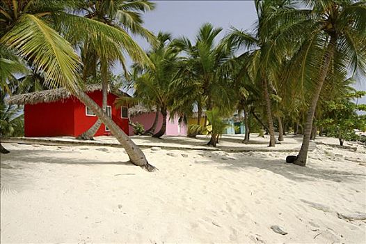 彩色,加勒比海,旅馆,海滩,卡塔琳娜,岛屿,多米尼加共和国,美洲