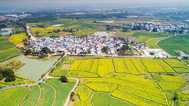 江苏南京桠溪国际慢城油菜花田园风光