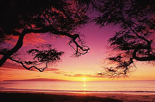夏威夷,毛伊岛,日落,海滩