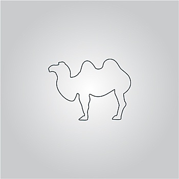 骆驼,象征