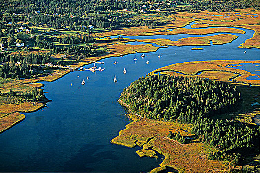 俯视,新斯科舍省,加拿大,湿地