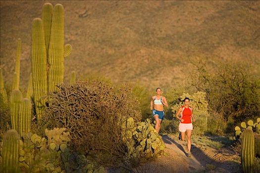 女人,跑,荒芜,小路,萨瓜罗国家公园,亚利桑那,美国