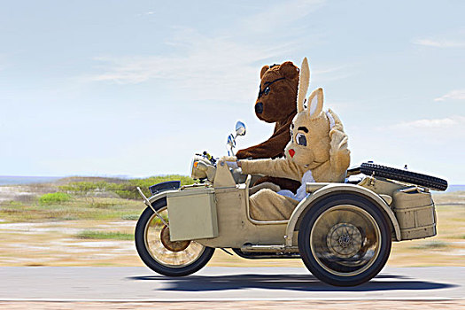 熊,兔子,骑,摩托车