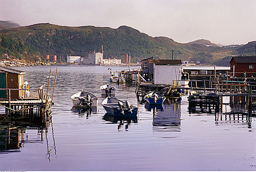 船,小湾,纽芬兰,加拿大