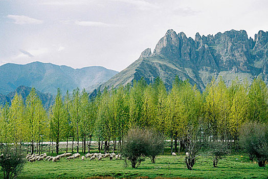 青藏铁路线青藏高原风光拉萨市