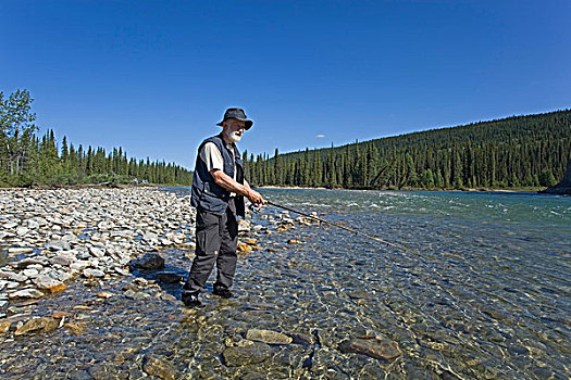 男人,捕鱼,河,清晰,浅水,育空地区,加拿大