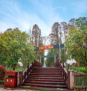 江苏省泰州市兴化市李中水上森林公园白鹭桥雕塑